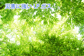 災害に強いLPガス